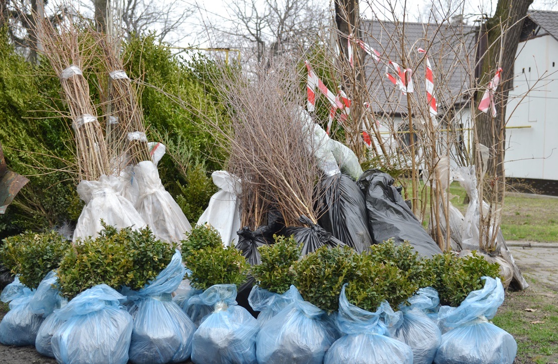 Волонтер из Черкасс передал четыреста молодых деревьев и кустов прифронтовой Авдеевке