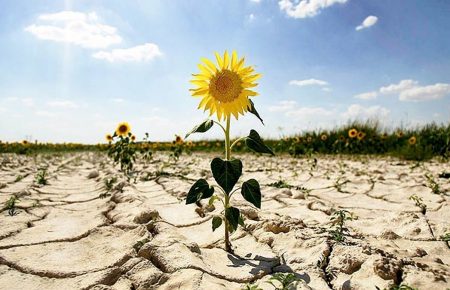 Если температура ежегодно будет меняться, то каждый второй год в Украине будет засуха — Волоско-Демкив