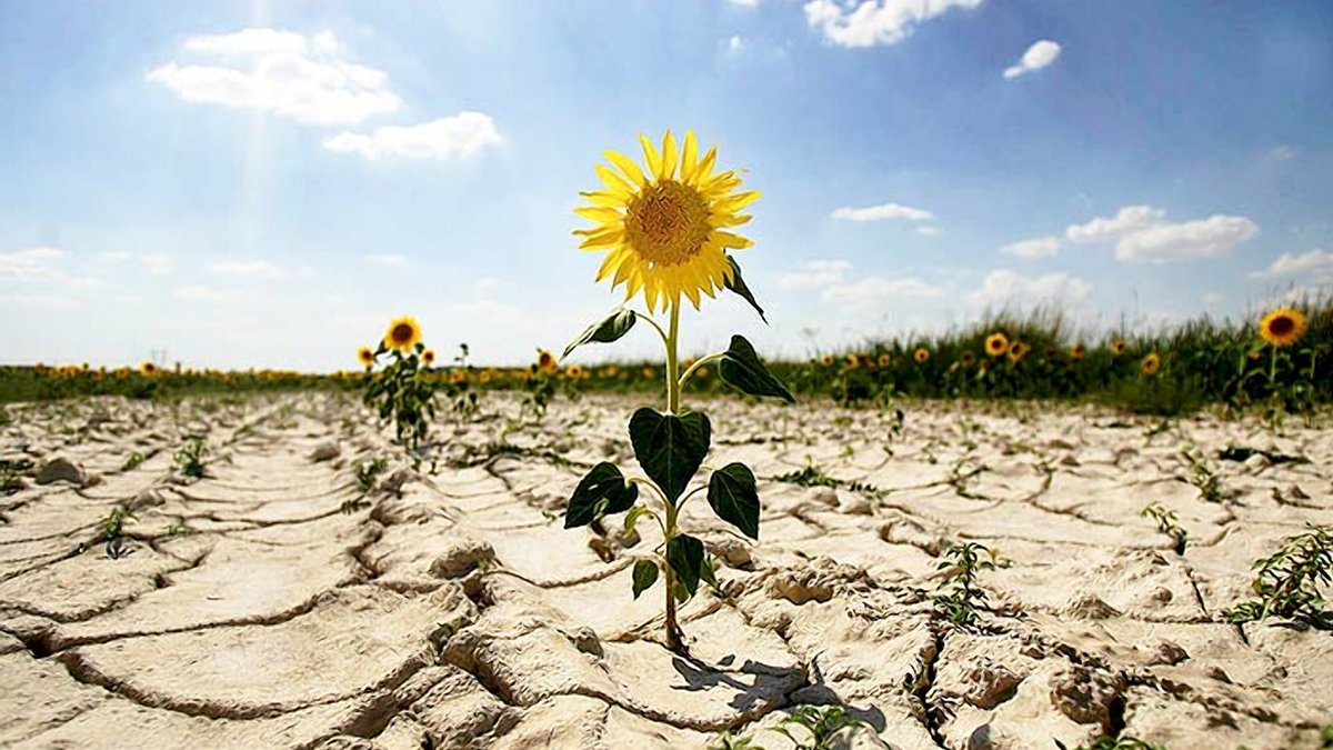 Якщо температура щороку змінюватиметься, то кожен другий рік в Україні буде засуха — Волоско-Демків