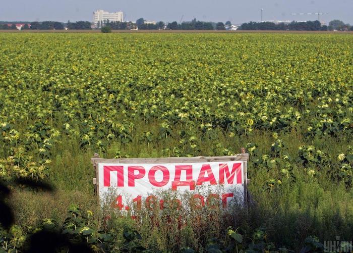 Государство не может построить дорогу, потому что многие участки приватизировали — Лещенко
