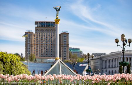В центре Киева расцвели 100 тысяч нидерландских тюльпанов (фото, видео)