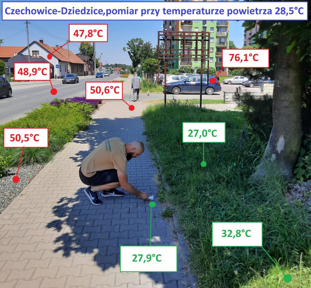 Нам нужно больше деревьев» — поляк измерил температуру поверхностей на  улице в жаркий день и что из этого получилось (фото)