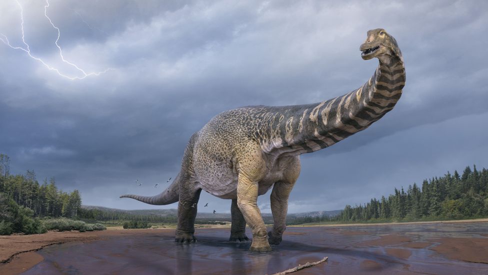 Палеонтологів звинуватили у фальсифікації даних про астероїд, який вбив динозаврів