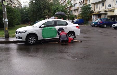 У Києві врятували змію, яка застрягла у припаркованому авто (фото)