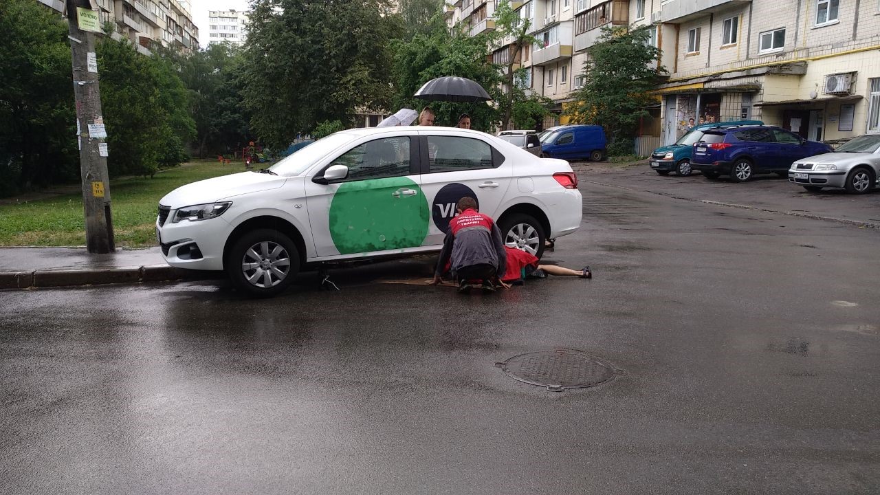 У Києві врятували змію, яка застрягла у припаркованому авто (фото)
