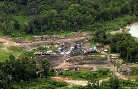 В Амазонії вирубали рекордну кількість лісу за місяць