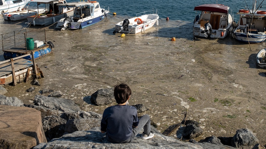 Мармурове море у Туреччині покрилося сірим слизом, одна з причин — забруднення (ВІДЕО)