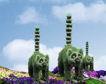 «Планета диких животных»: на Певческом поле пройдет летняя выставка цветов