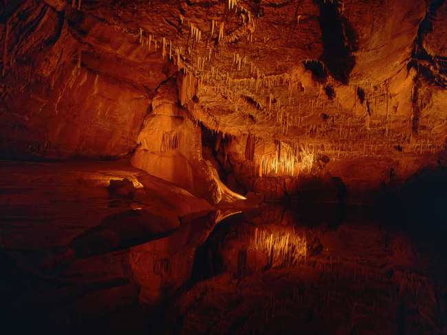 Доісторичні печери Ласко, які закрили 60 років тому, стали доступними завдяки віртуальній реальності