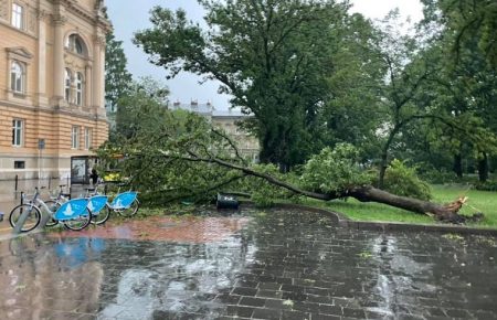 У Львові внаслідок негоди затопило низьку вулиць та повалило дерева (ФОТО, ВІДЕО)
