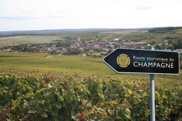 «Продовжимо перемовини з РФ» — у Франції відреагували на указ про перейменування шампанського
