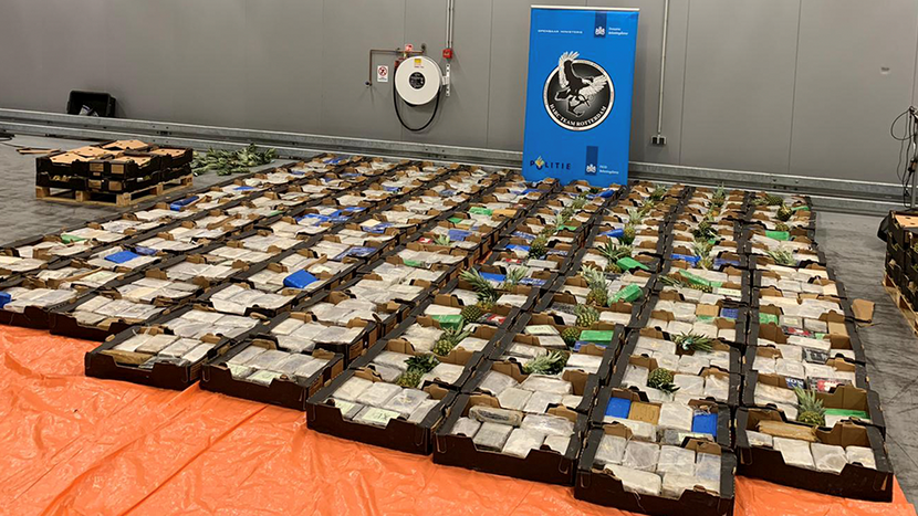 У порту Роттердама знайшли понад 1,5 тисячі кг кокаїну: його заховали у контейнери з бананами та ананасами 
