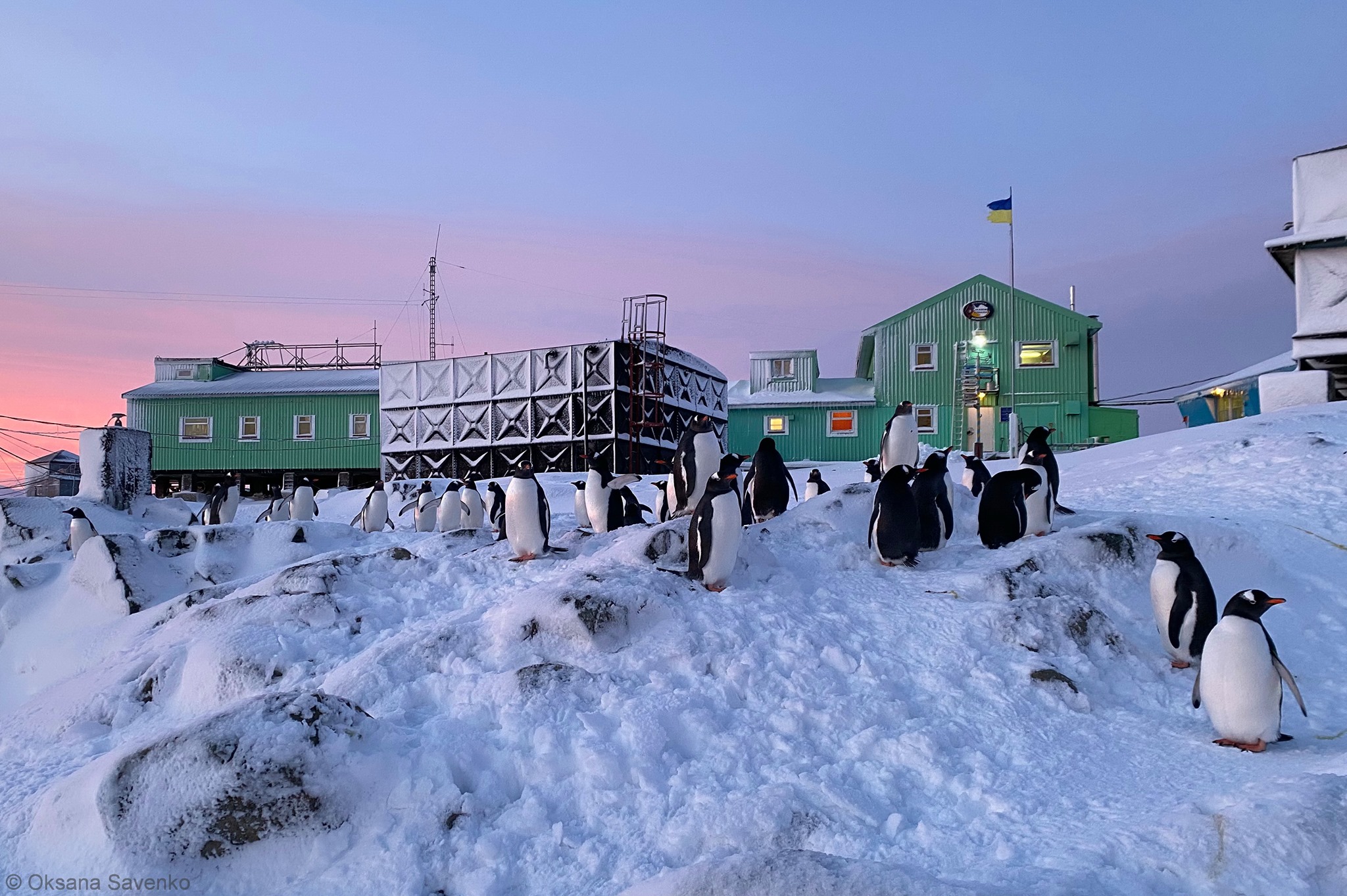 Год в Антарктиде: кто и как может отправиться в 27-ю экспедицию?