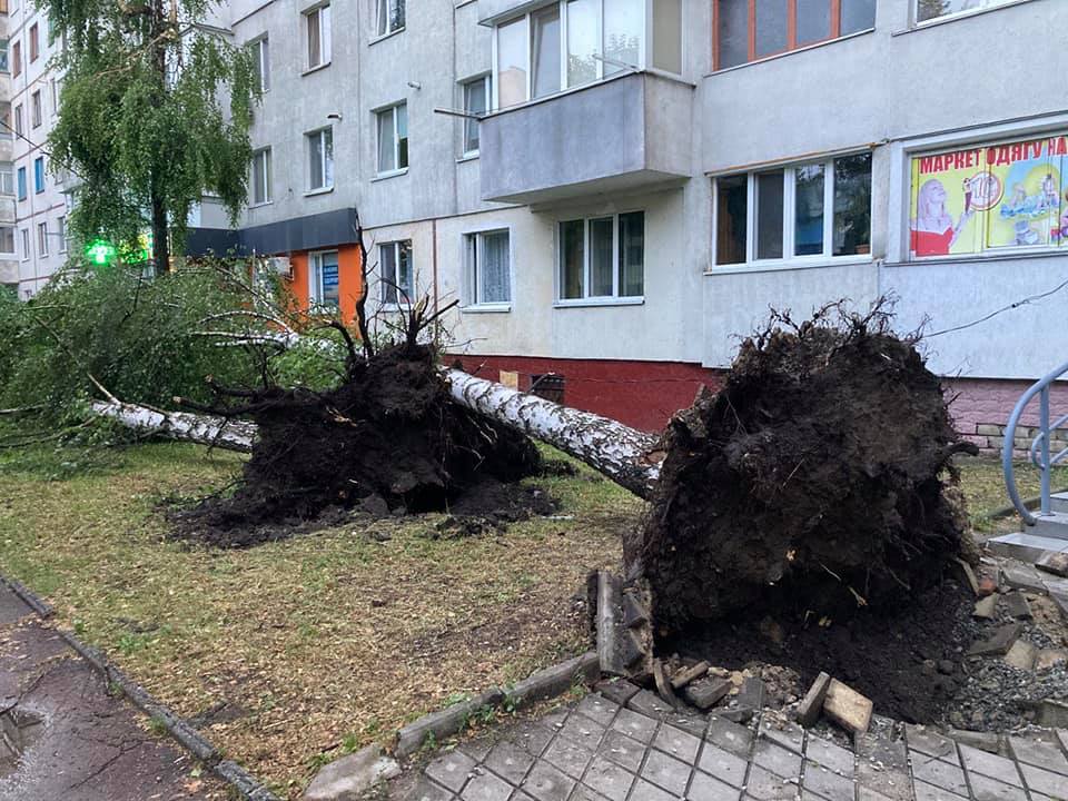 Негода у Житомирі затопила вулиці і повалила дерева (фото)