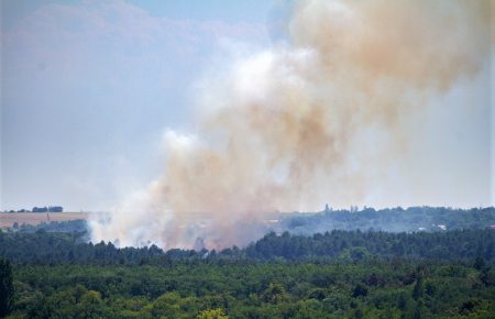 Пожежа на Хортиці: вигорів щонайменше гектар лісу
