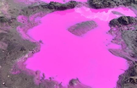 Возле Ровно появились лужи розового цвета — ГСЧС устанавливает их происхождение (фото)