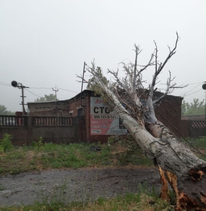 В Запорожской области из-за обрыва электропроводов погибли два человека