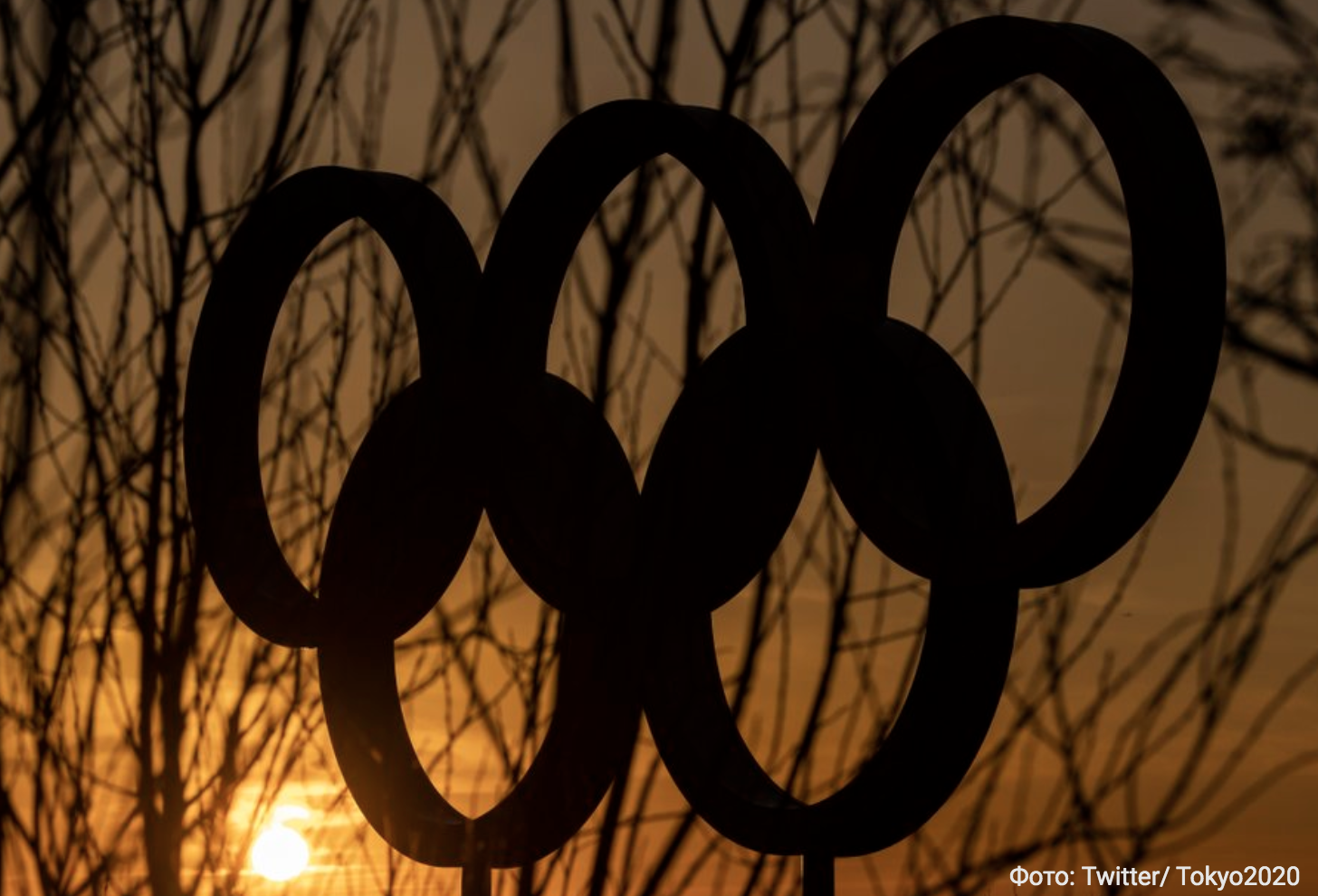 На Олимпийских играх немецкие гимнастки выступили в комбинезонах вместо трико (фото)