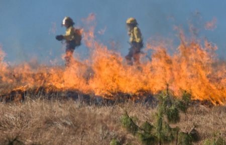 У США у двох штатах оголосили надзвичайний стан через лісові пожежі