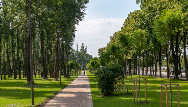 Чем больше деревьев и травы, тем легче жить в городе — Виталий Селик