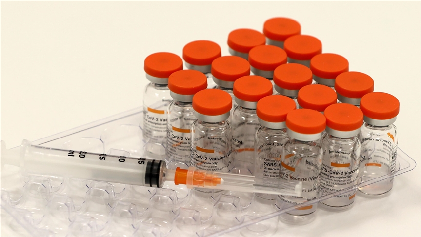 Кількість антитіл після вакцинації CoronaVac зменшується приблизно через 6 місяців — дослідження