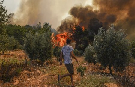У Туреччині екстрені служби контролюють понад 100 пожеж, загинули 6 людей