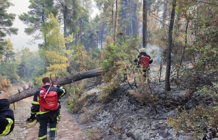 У Греції евакуюють жителів 12 населених пунктів через лісові пожежі