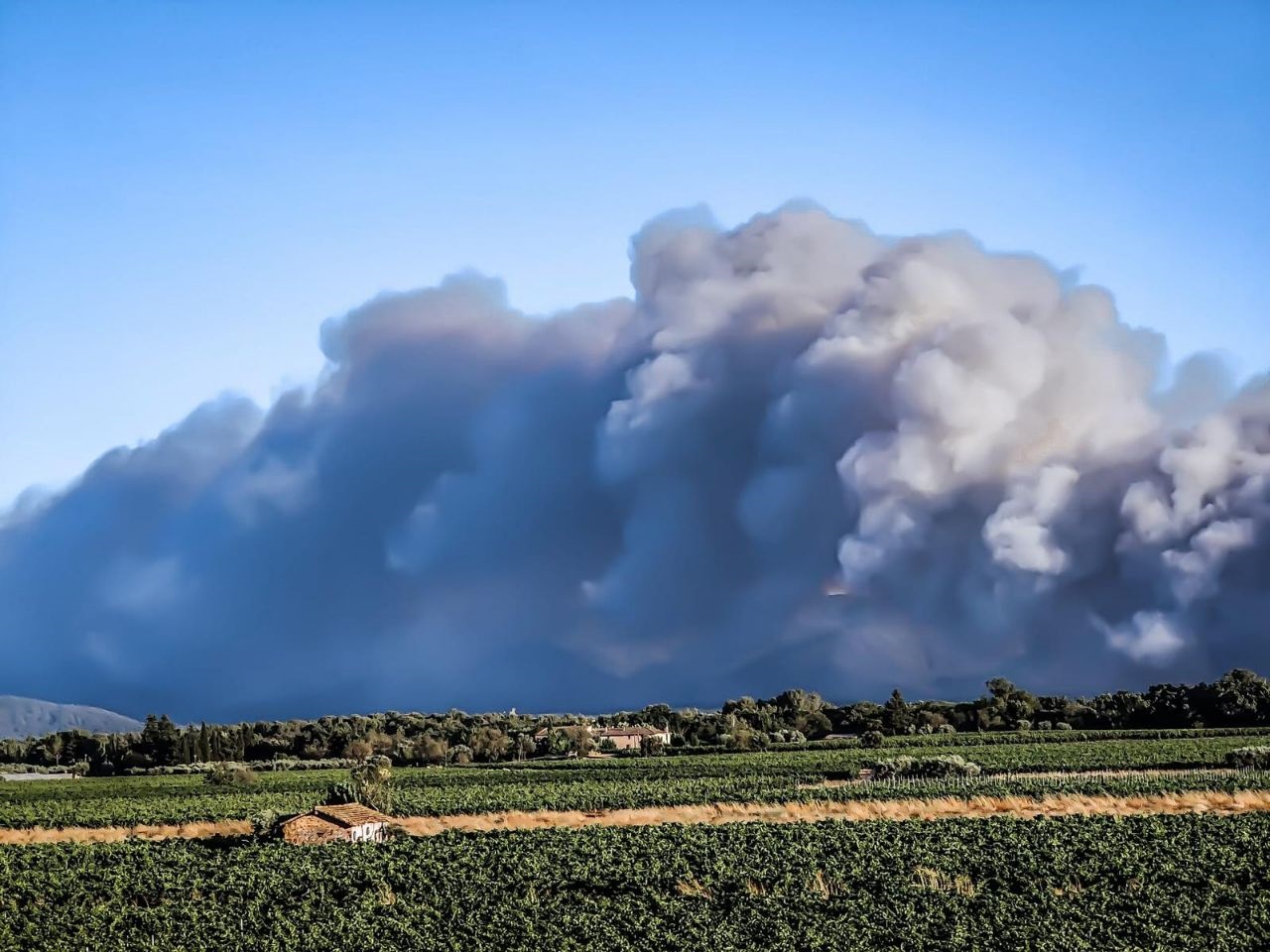 Юго-восток Франции охватил крупный лесной пожар (фото, видео)