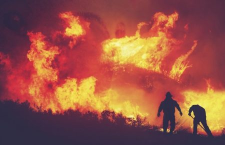 На півдні Хорватії почалися лісові пожежі