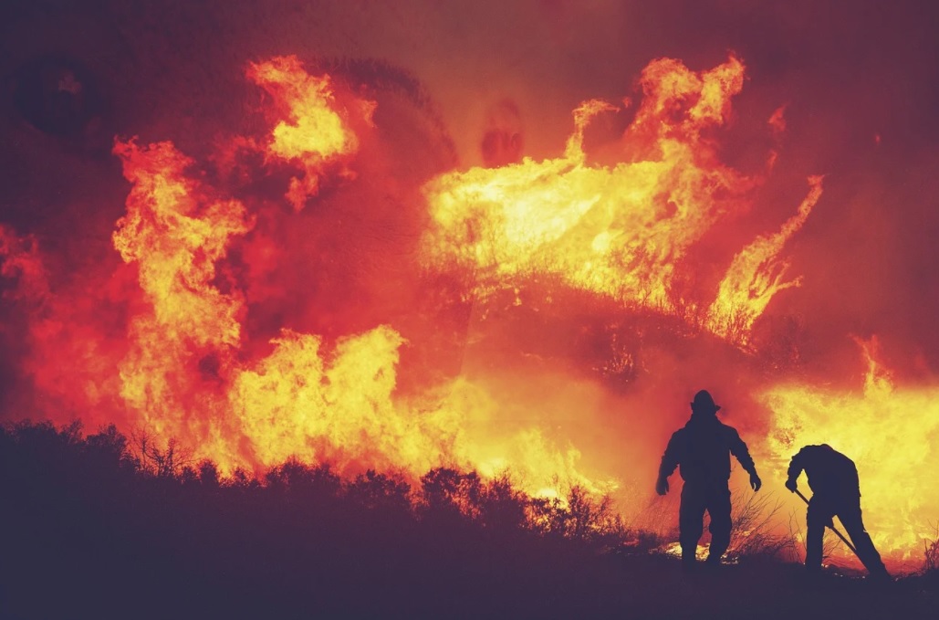 На юге Хорватии начались лесные пожары
