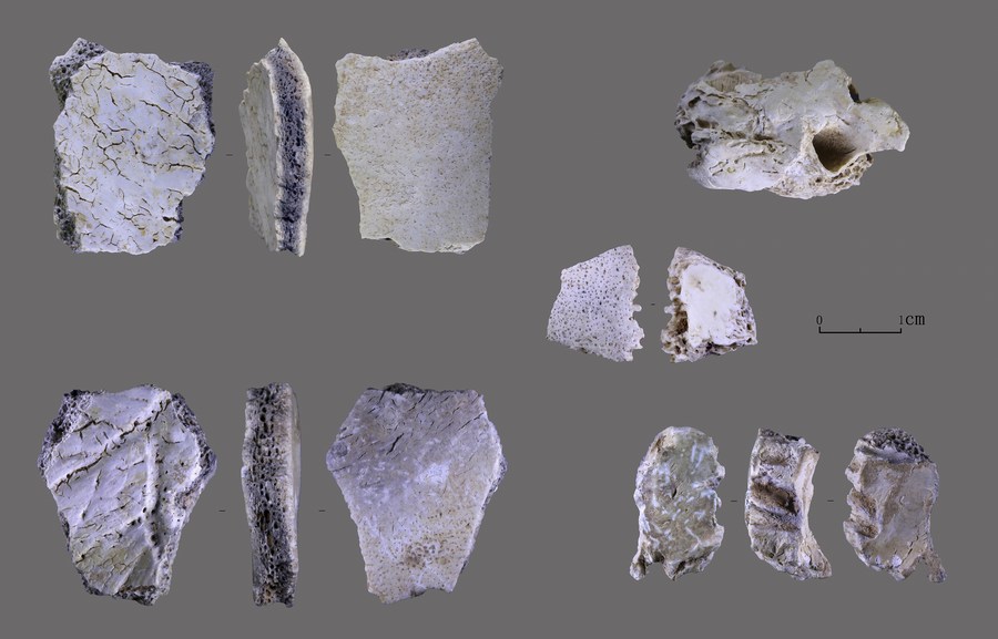 В Китае обнаружили останки человеческого черепа возрастом 32 тысячи лет