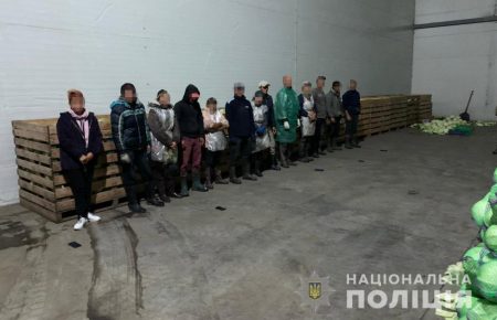 На Дніпропетровщині звільнили 60 людей: їх змушували працювати на сільськогосподарських угіддях
