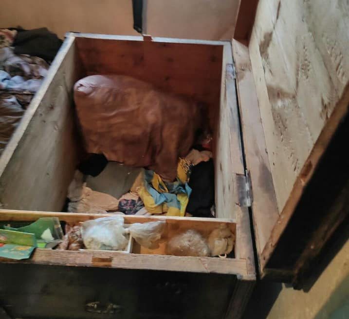 У селі на Донеччині двох дітей, яких розшукували батьки, знайшли у будинку у скрині без ознак життя