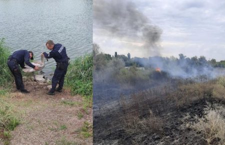 На Луганщині від пожежі врятували лебедя