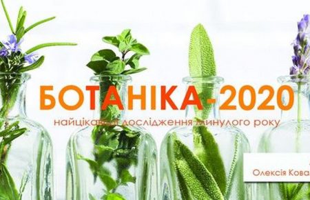 В Україні знайшли новий вид рослини, лободу українську. Це сенсація у світі ботаніки — Олексій Коваленко