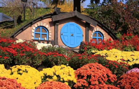 «История любви»: на Спивочем поле открывается выставка цветов — использовали более 1 миллиона бутонов хризантем