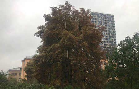 Сильний вітер та дощ: в Україні штормове попередження