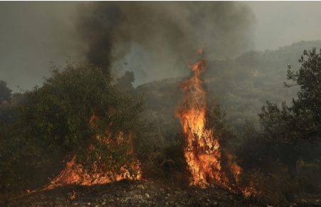 В Греции на горе Афон вспыхнули лесные пожары