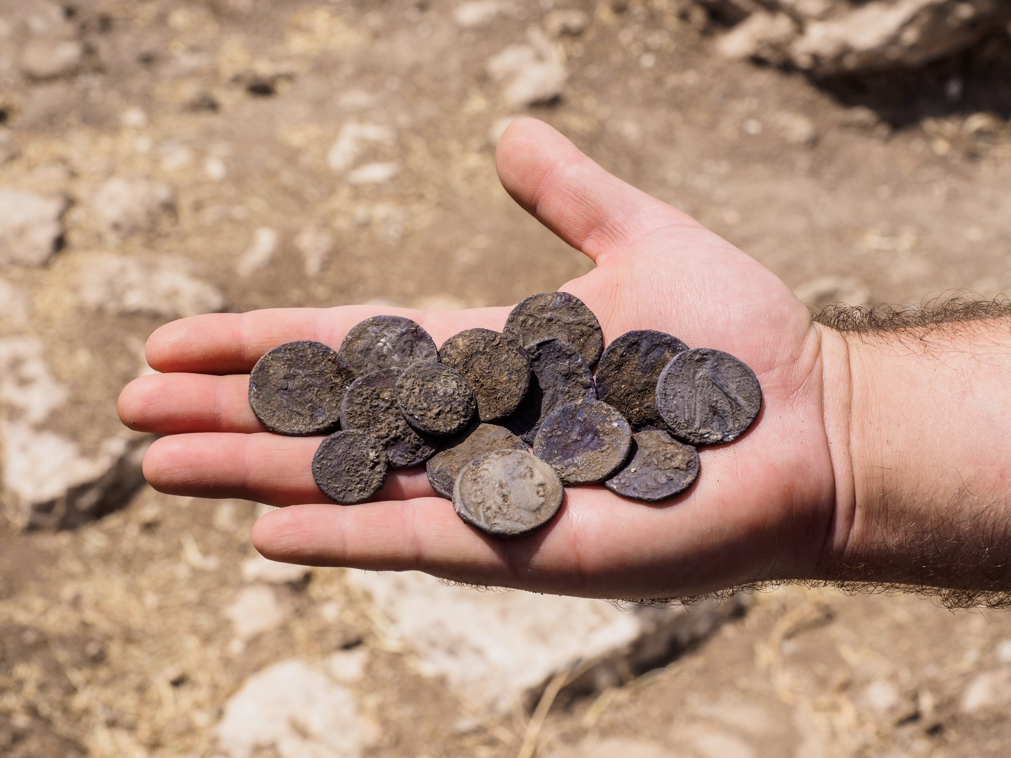 Старинные монеты и комплекс тайных пещер археологи нашли на ферме в Израиле (фото)