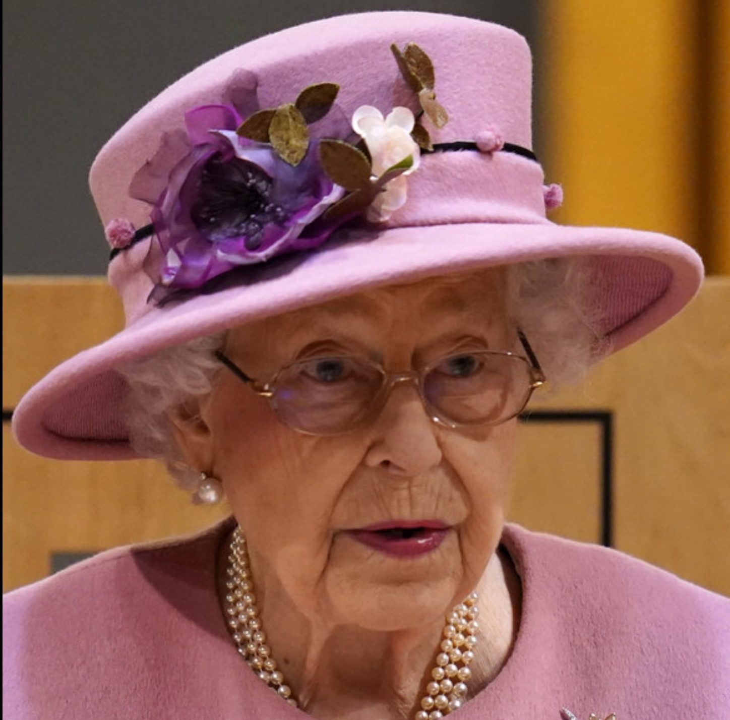 Елизавета II отказалась стать «бабушкой года»