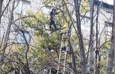 На Дніпропетровщині рятувальники спустили з дерева вагітну жінку
