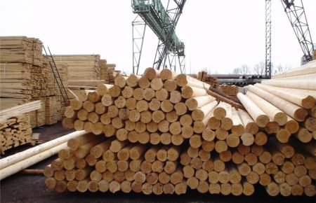 До мораторію на вивезення лісу-кругляка, не ЄС, а Китай активно закуповував у нас деревину — Єднак