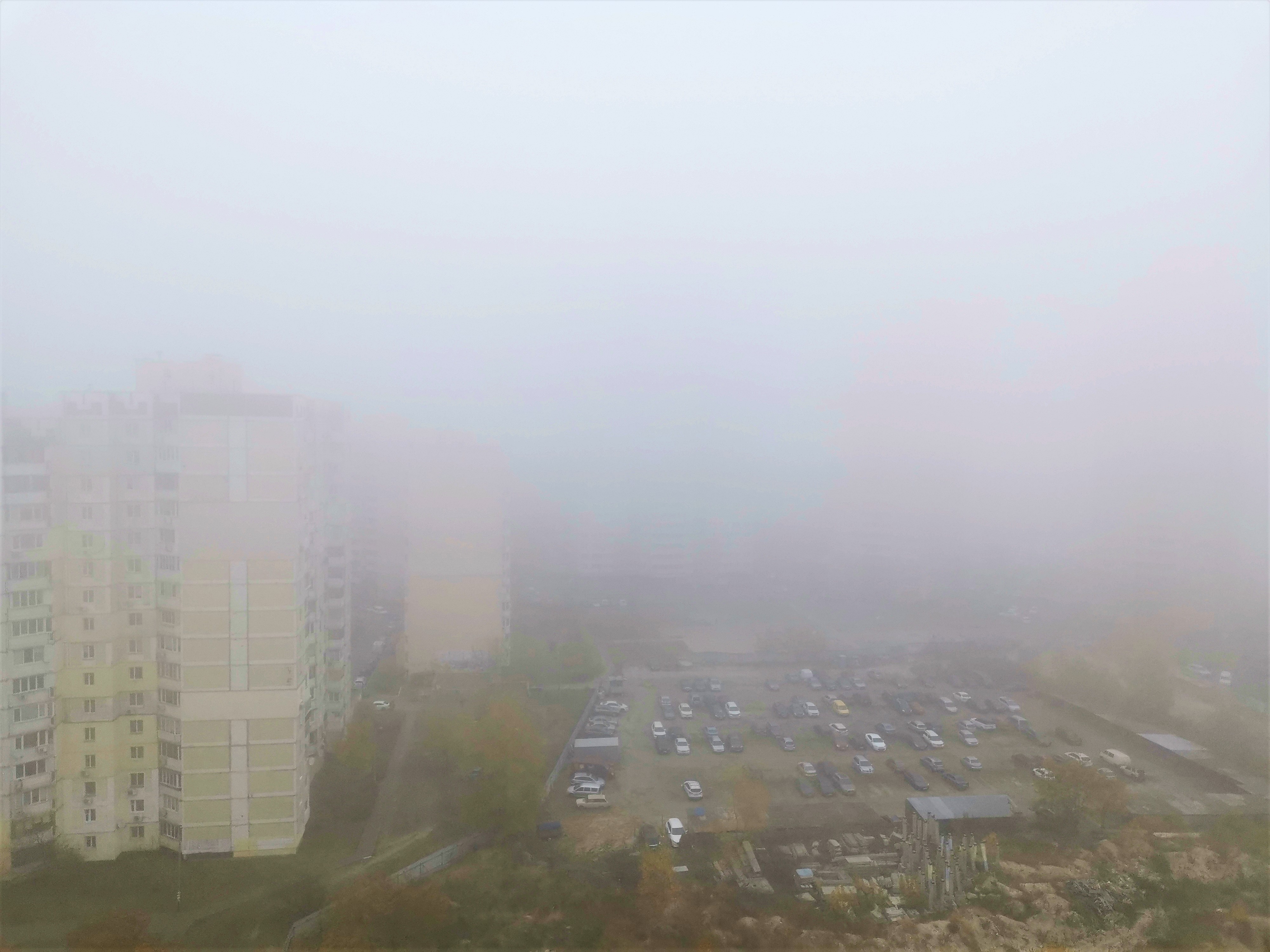 Україну оповив туман: синоптики прогнозують обмеження видимості на добу