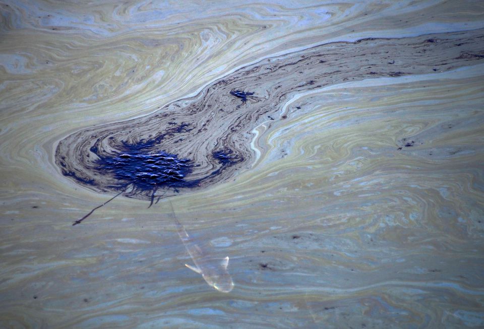 Розлив нафти у Каліфорнії: акції компанії, якій належить трубопровід, впали на 50%