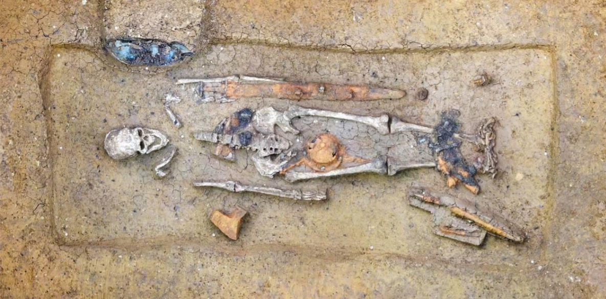 В Баварии археологи раскопали останки воина: его похоронили 1,5 тысячи лет назад с конем и оружием (фото)