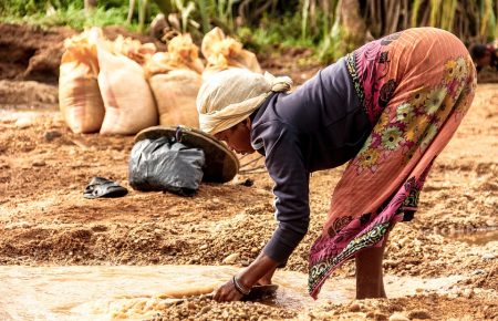 ООН: Через кліматичні зміни Мадагаскару загрожує голод