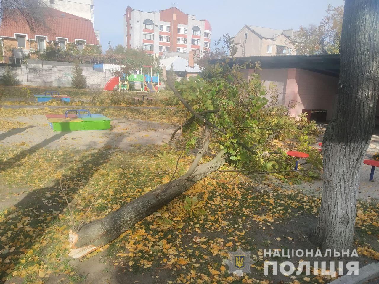 У дитсадку Кременчука на двох дітей впало дерево, їх госпіталізували