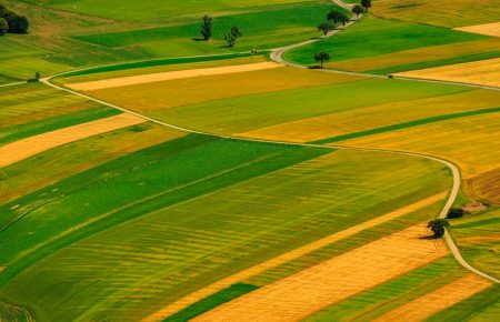 У держави менше як 1 млн га сільськогосподарської землі — Соболєв