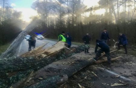 На Чернігівщині повалені дерева заблокували кілька доріг