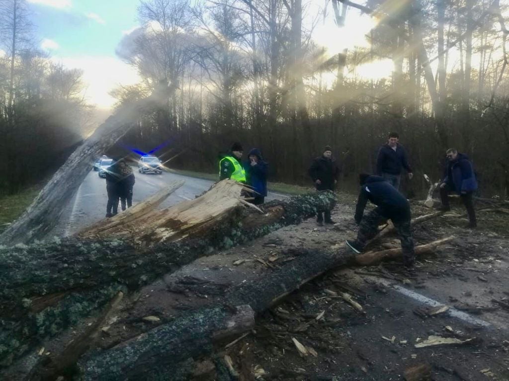 На Чернігівщині повалені дерева заблокували кілька доріг